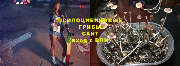 ПСИЛОЦИБИНОВЫЕ ГРИБЫ Алексеевка