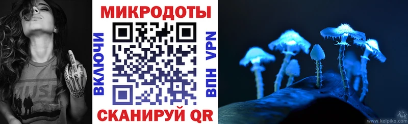Псилоцибиновые грибы прущие грибы Фокино